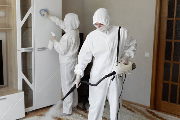 Best Crawl Space Mold Removal  in Park Rapids, MN