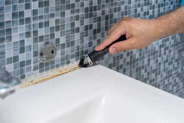 Best Emergency Mold Removal  in Park Rapids, MN